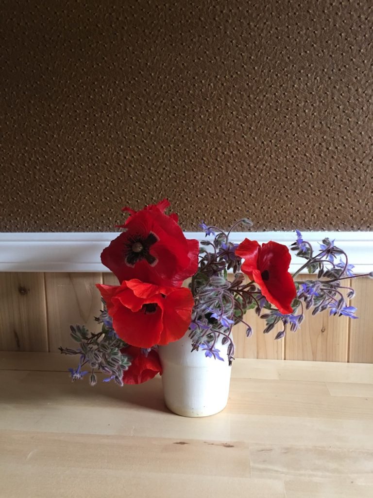 Anemone flowers, lovely details in the TinyHouse