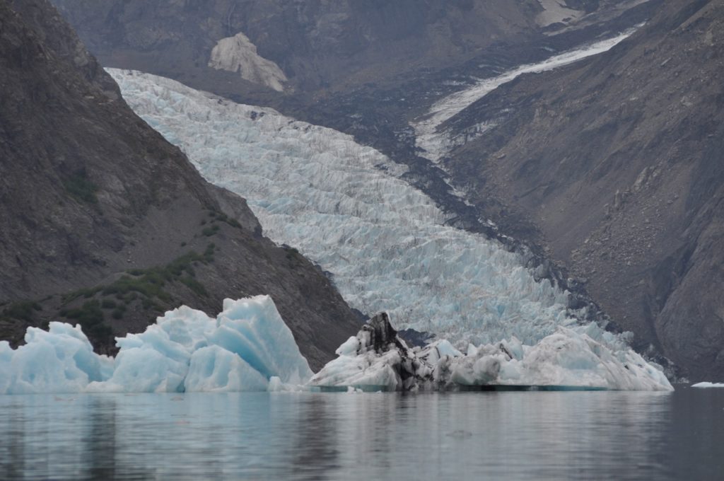 Pederson Glacier, Sea Kayaking in Aialik Bay, Kenai Fjords National Park, Alaska