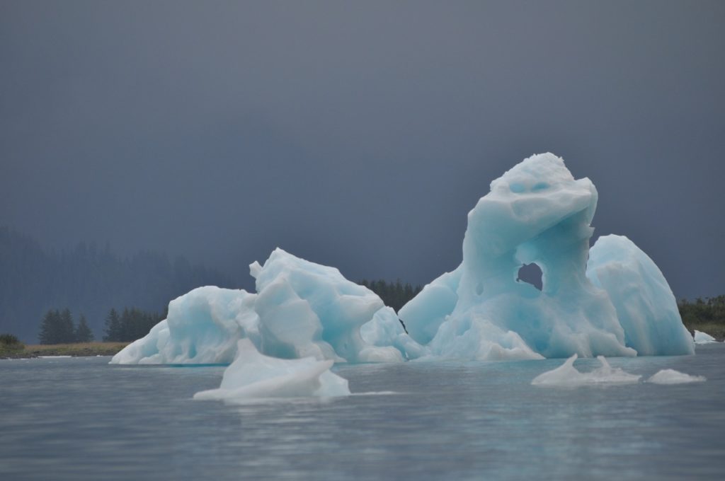 Iceberg, Pederson Lagoon, Sea Kayaking in Aialik Bay, Kenai Fjords National Park, Alaska